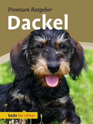 cover image of Dackel